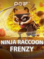 Ninja-Raccoon-Frenzy icon